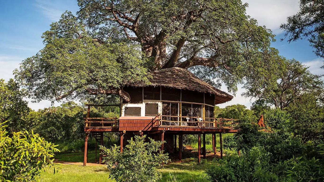 Tarangire Treetops romantic tree lodge