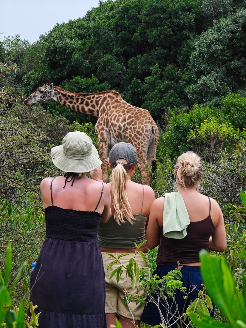 Tanzania Family Safari