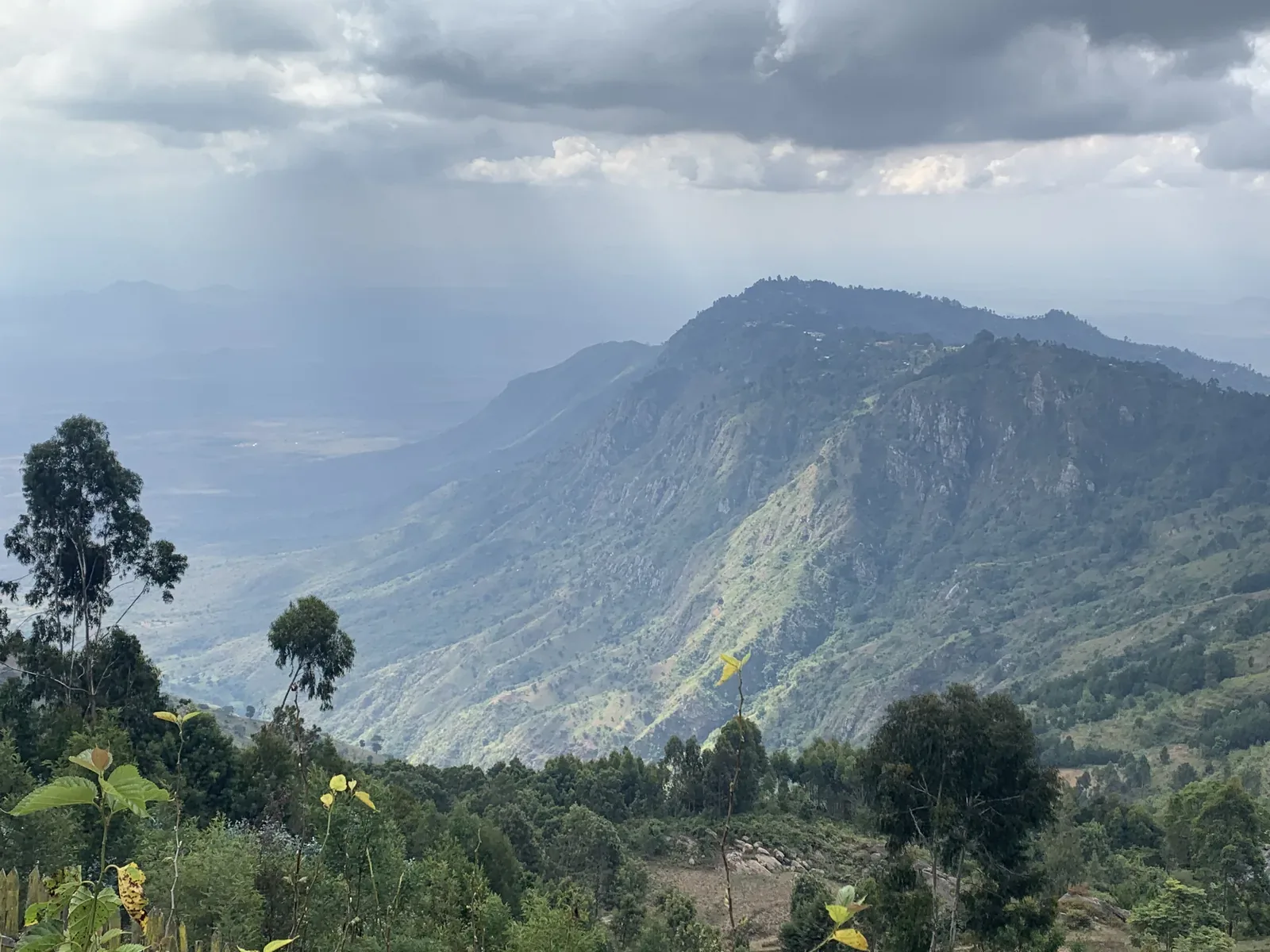Usambara Mountains ridge and valley view over tea-growing hills in northern Tanzania