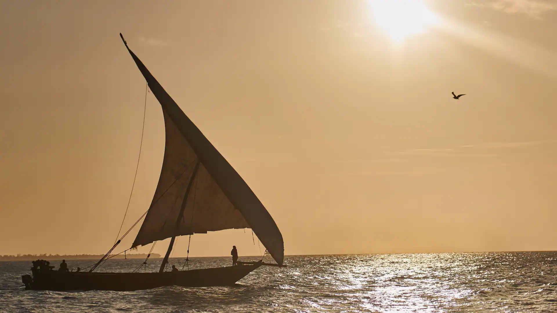 Traditional dhow sailing on Zanzibar's Indian Ocean horizon