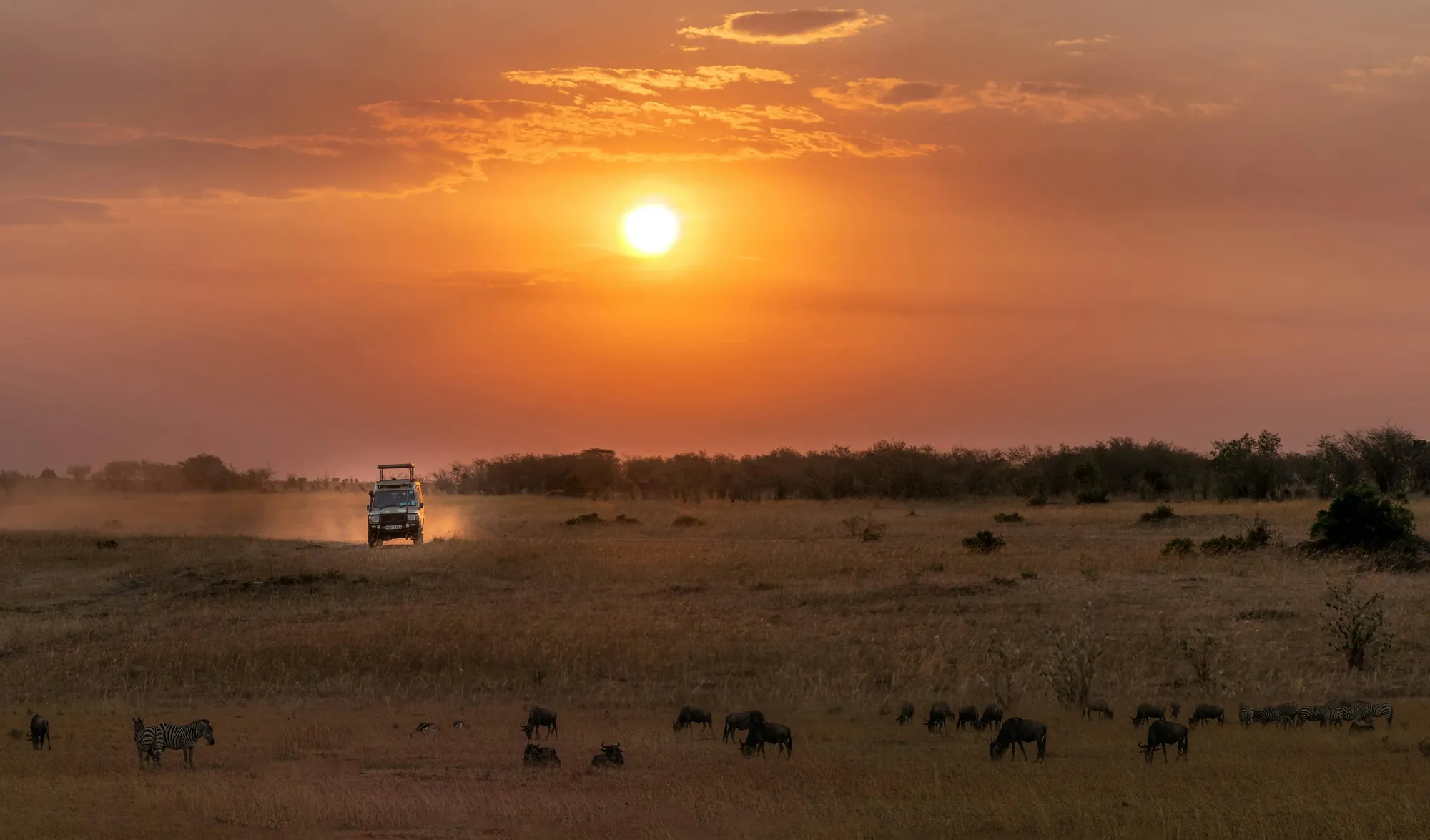 Tanzania safari vehicle guide 4WD Land Cruiser