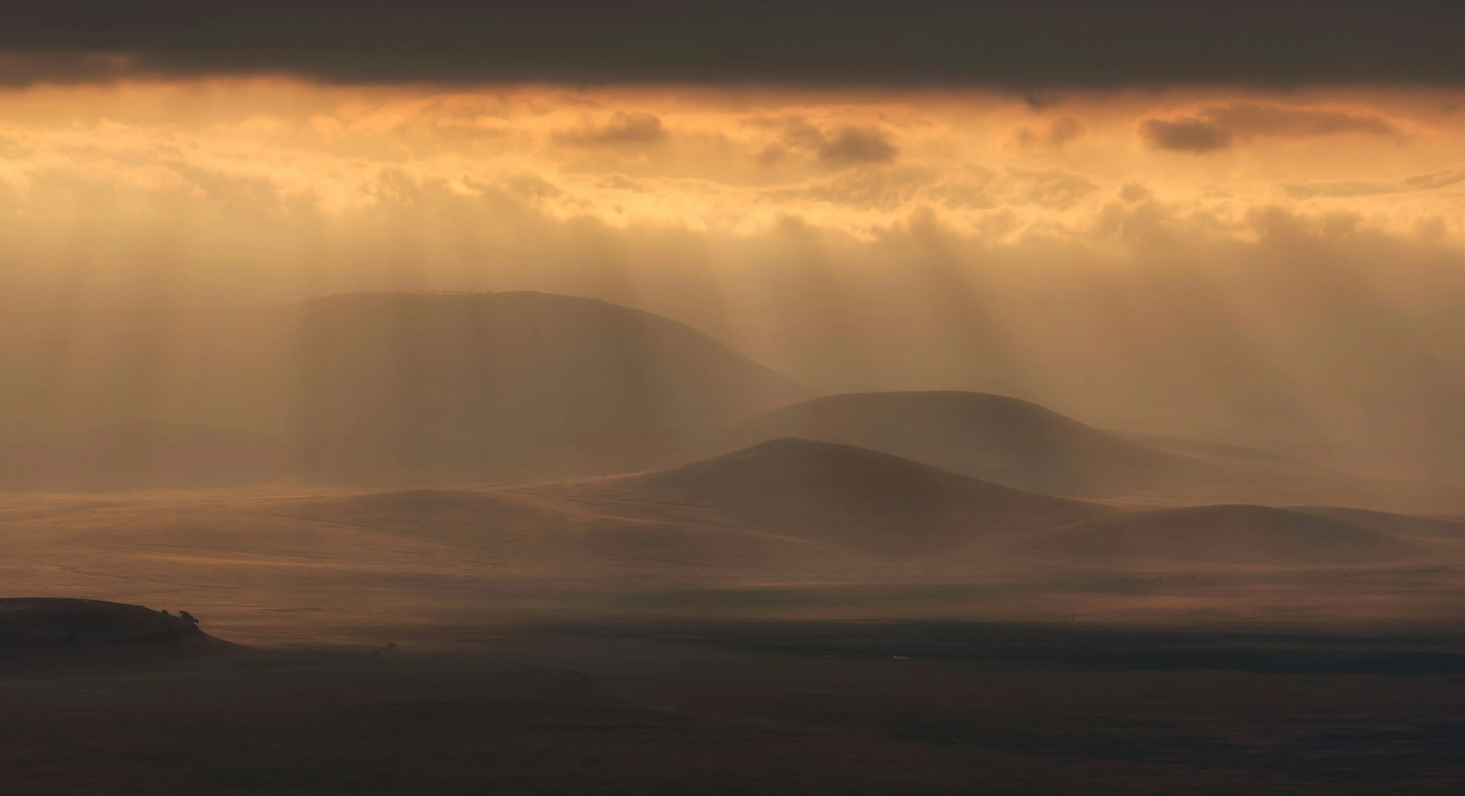 Tarangire and Ngorongoro Safari Escape 5 days