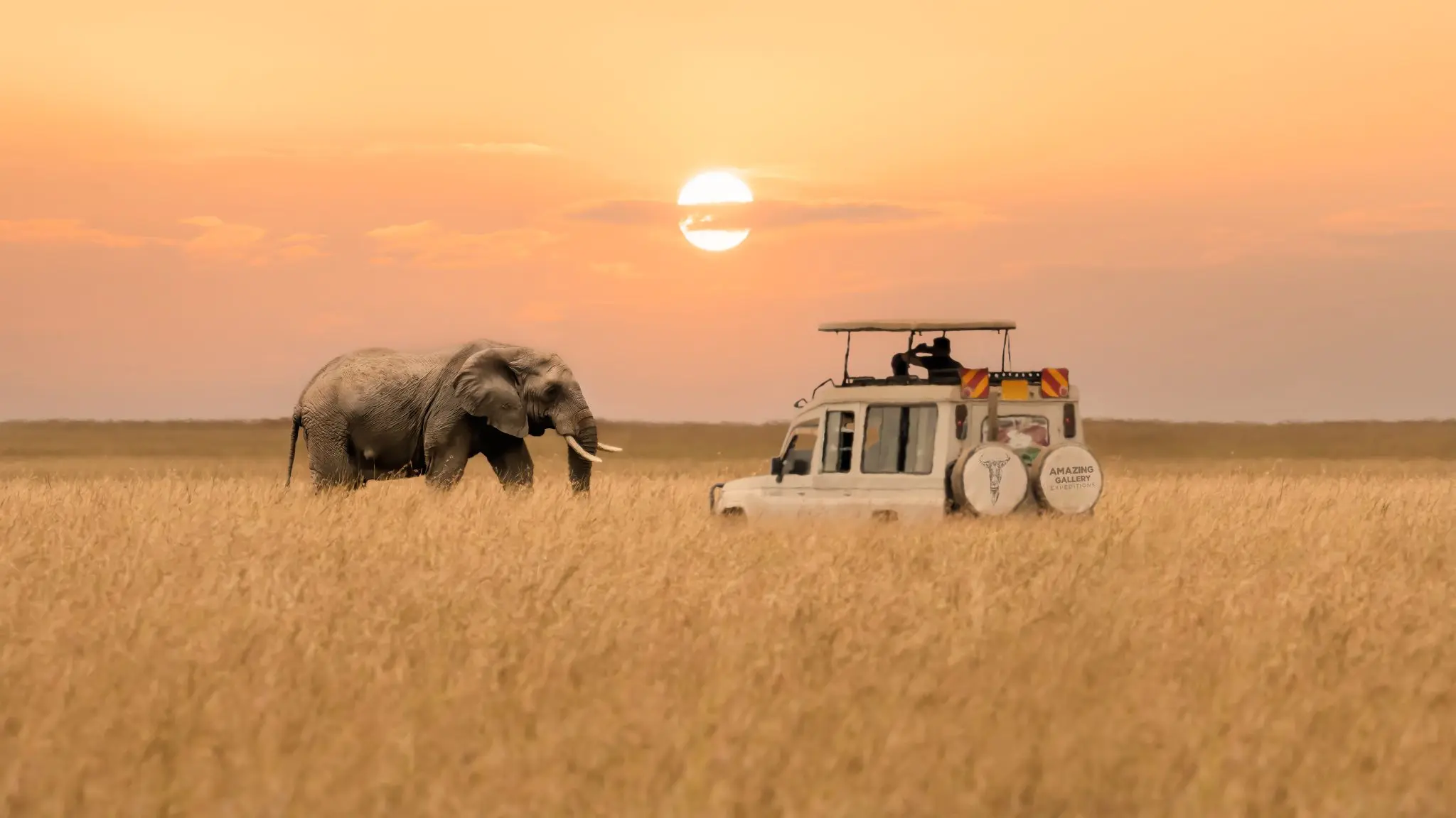 Romantic Tanzania Escape 10-day safari and Zanzibar for couples