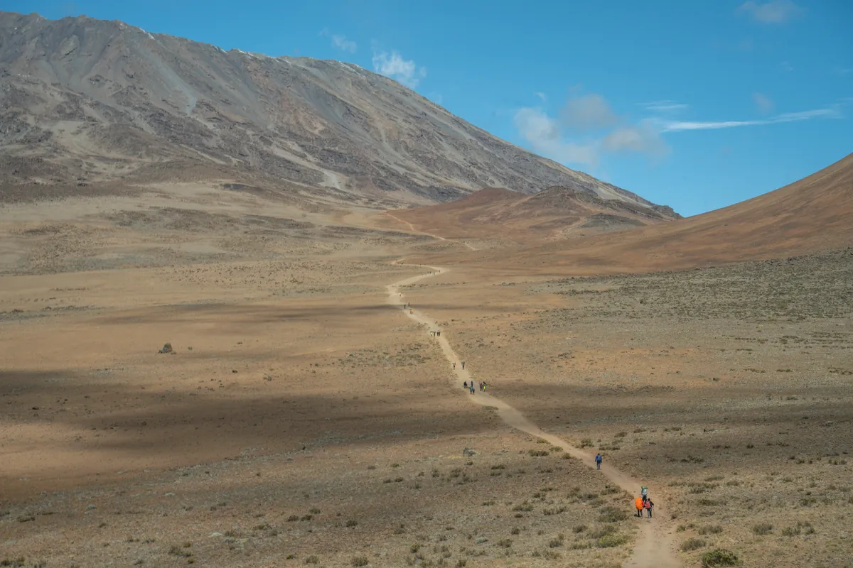 Kilimanjaro climbers acclimatising on the mountain