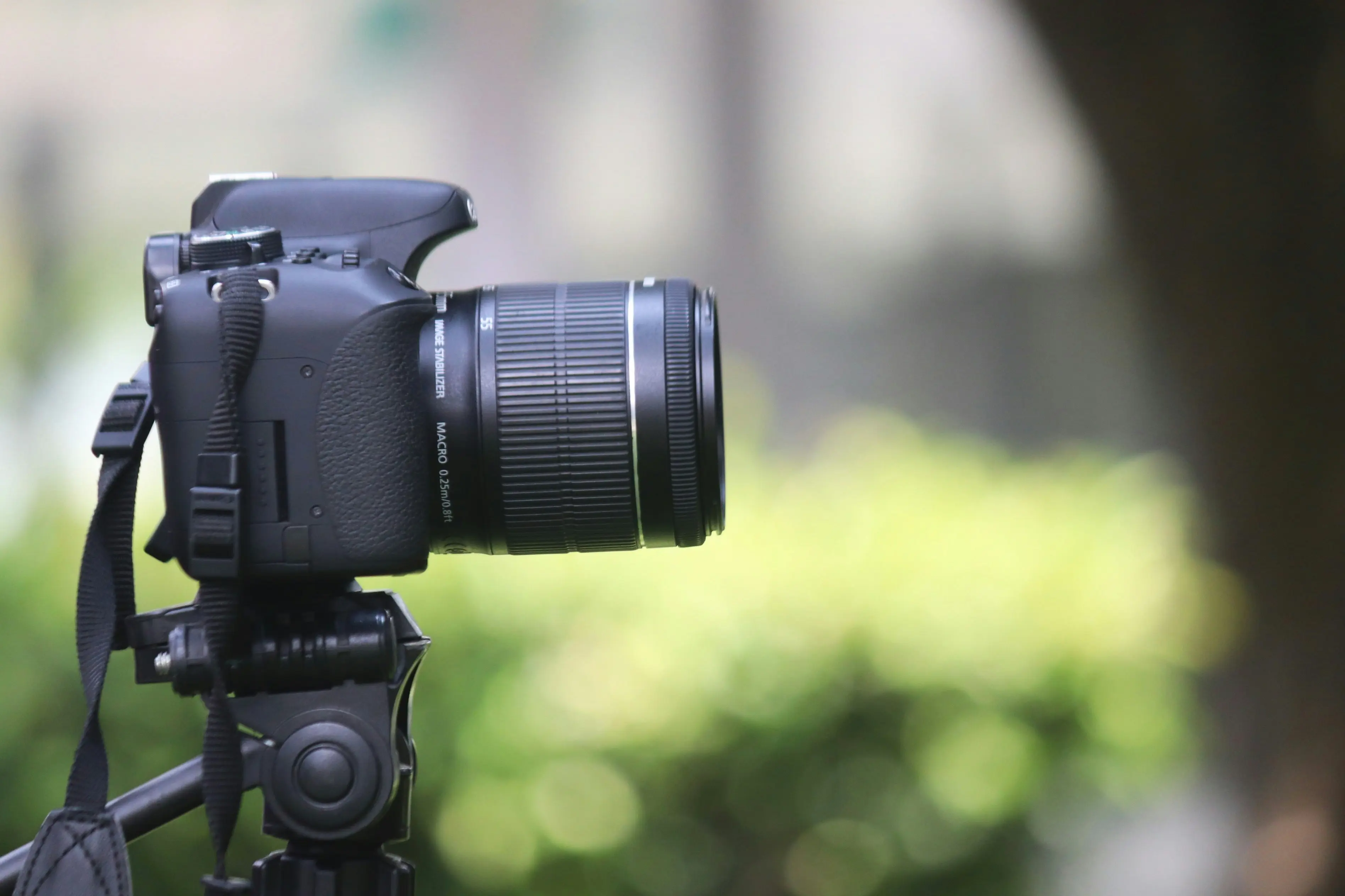 Camera equipment for safari photography in Tanzania
