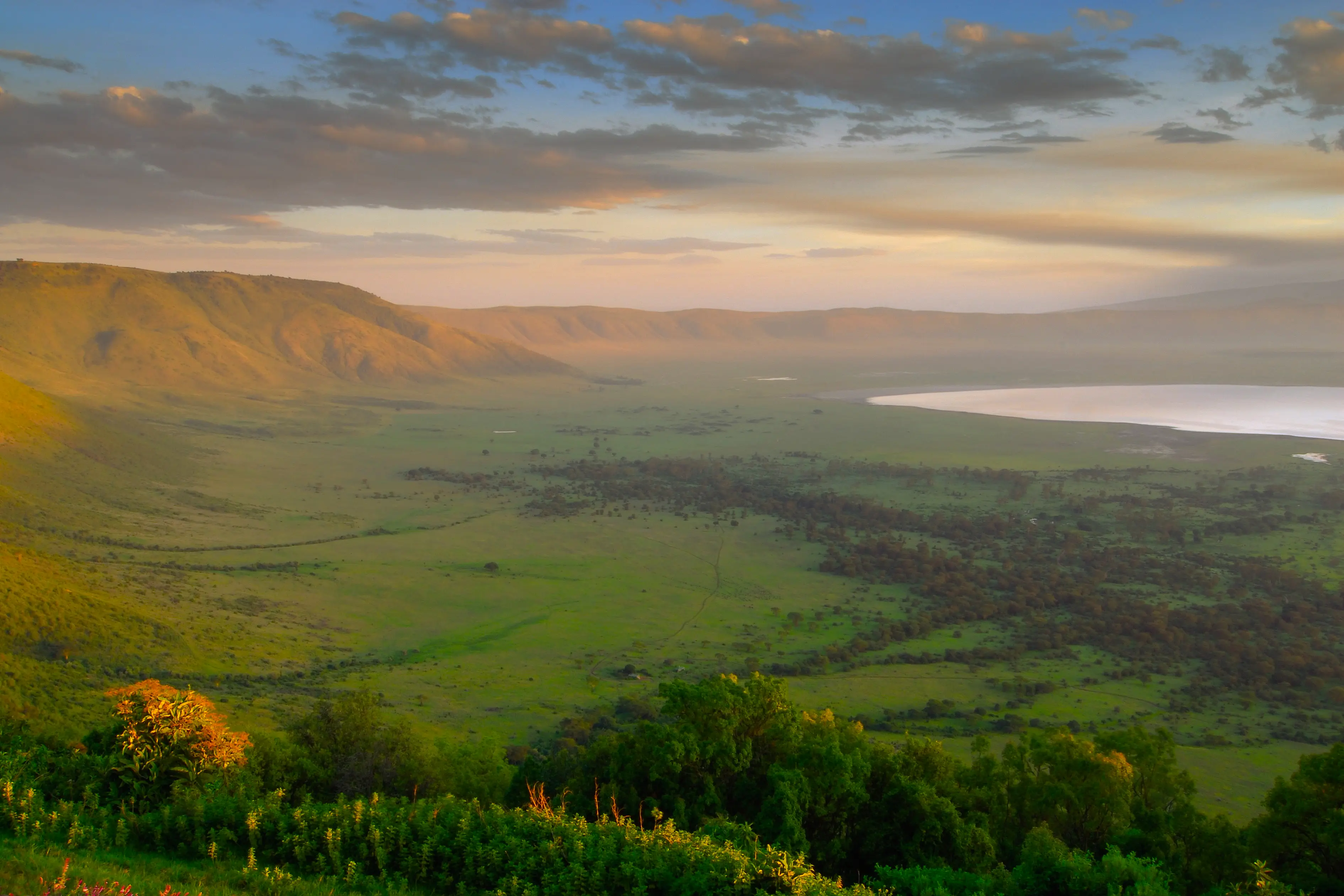 Ngorongoro Crater wildlife, Tanzania