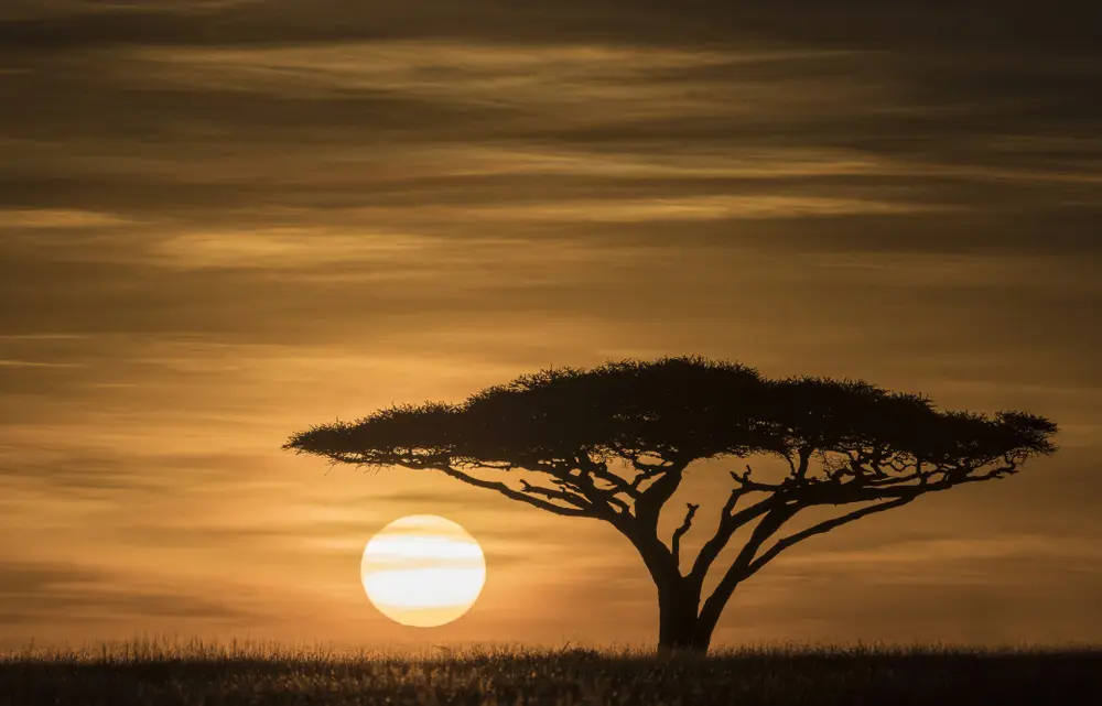Safari and Zanzibar beach combination, Tanzania